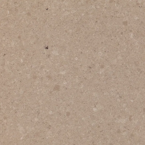Quartzforms Ammonite Quartz