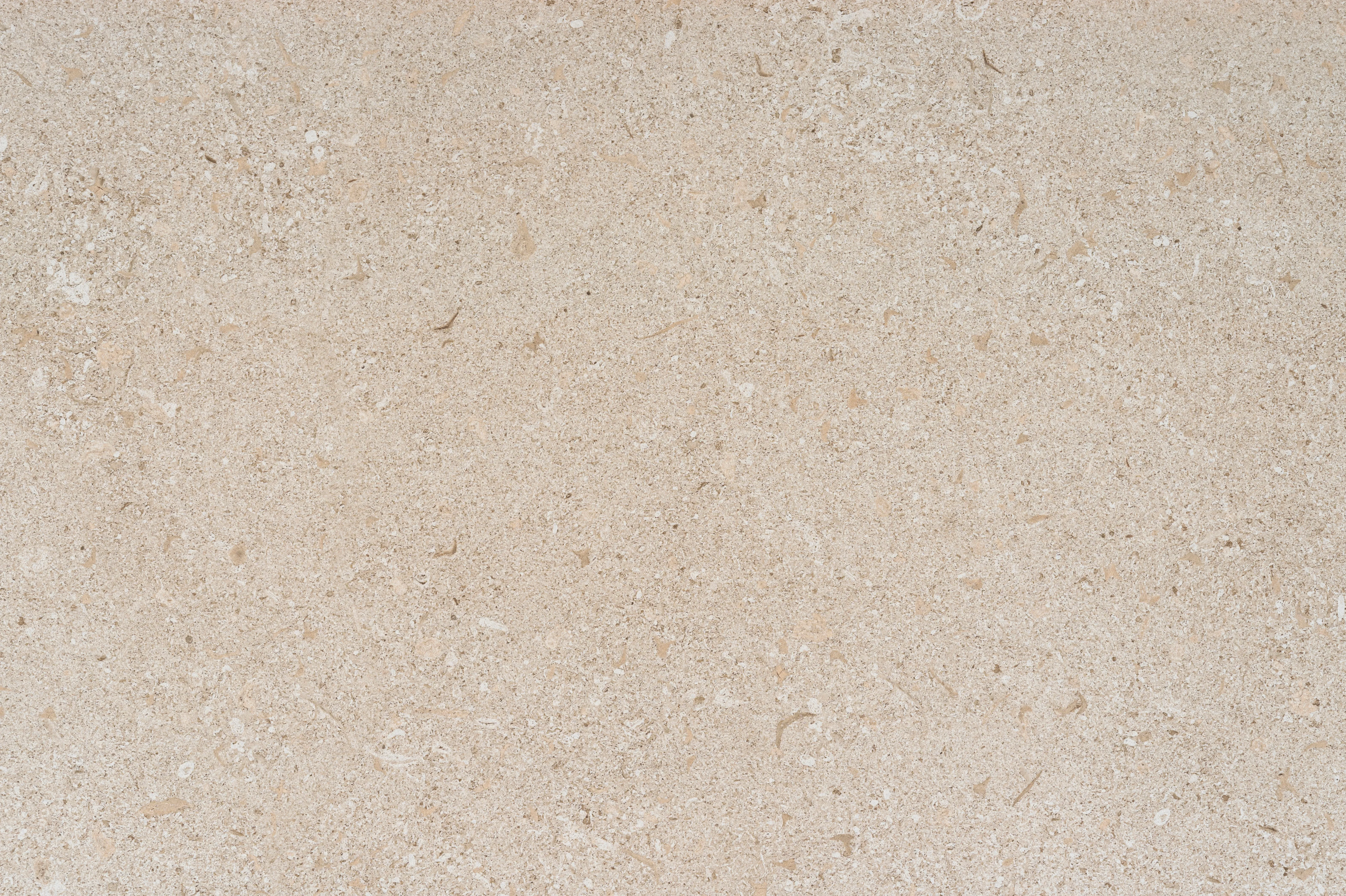 Dekton Avorio Sintered Stone