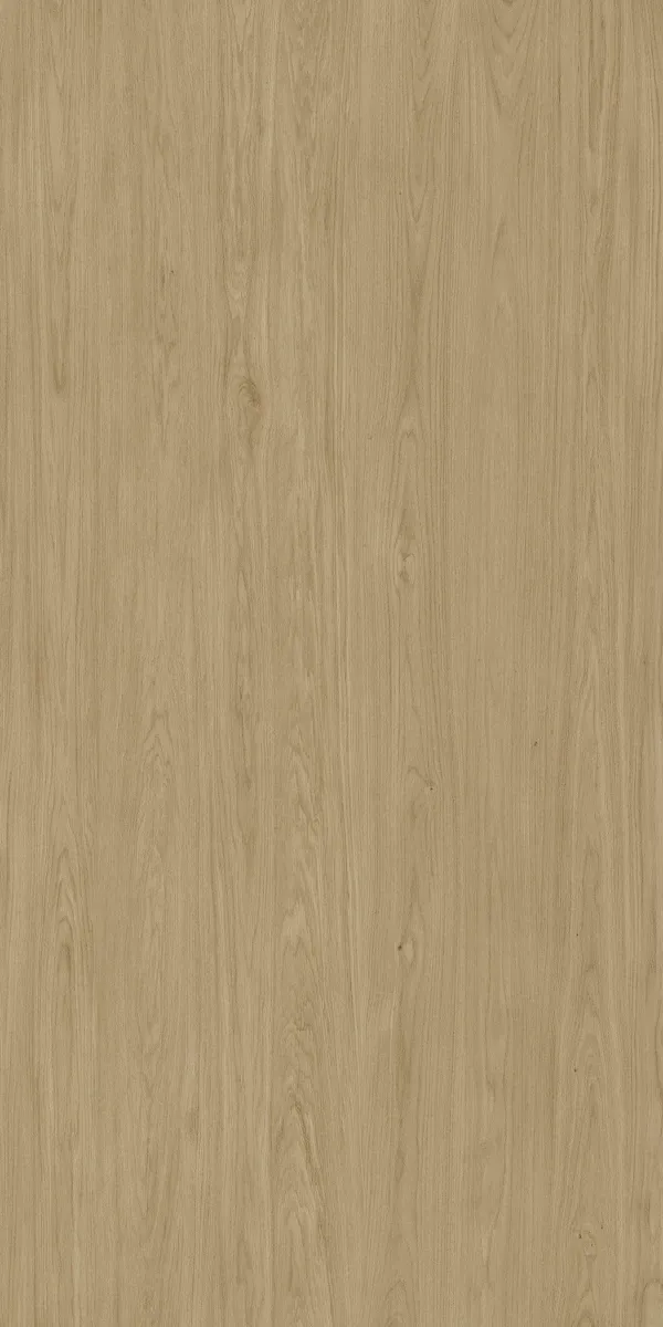 XTone Neda Porcelain