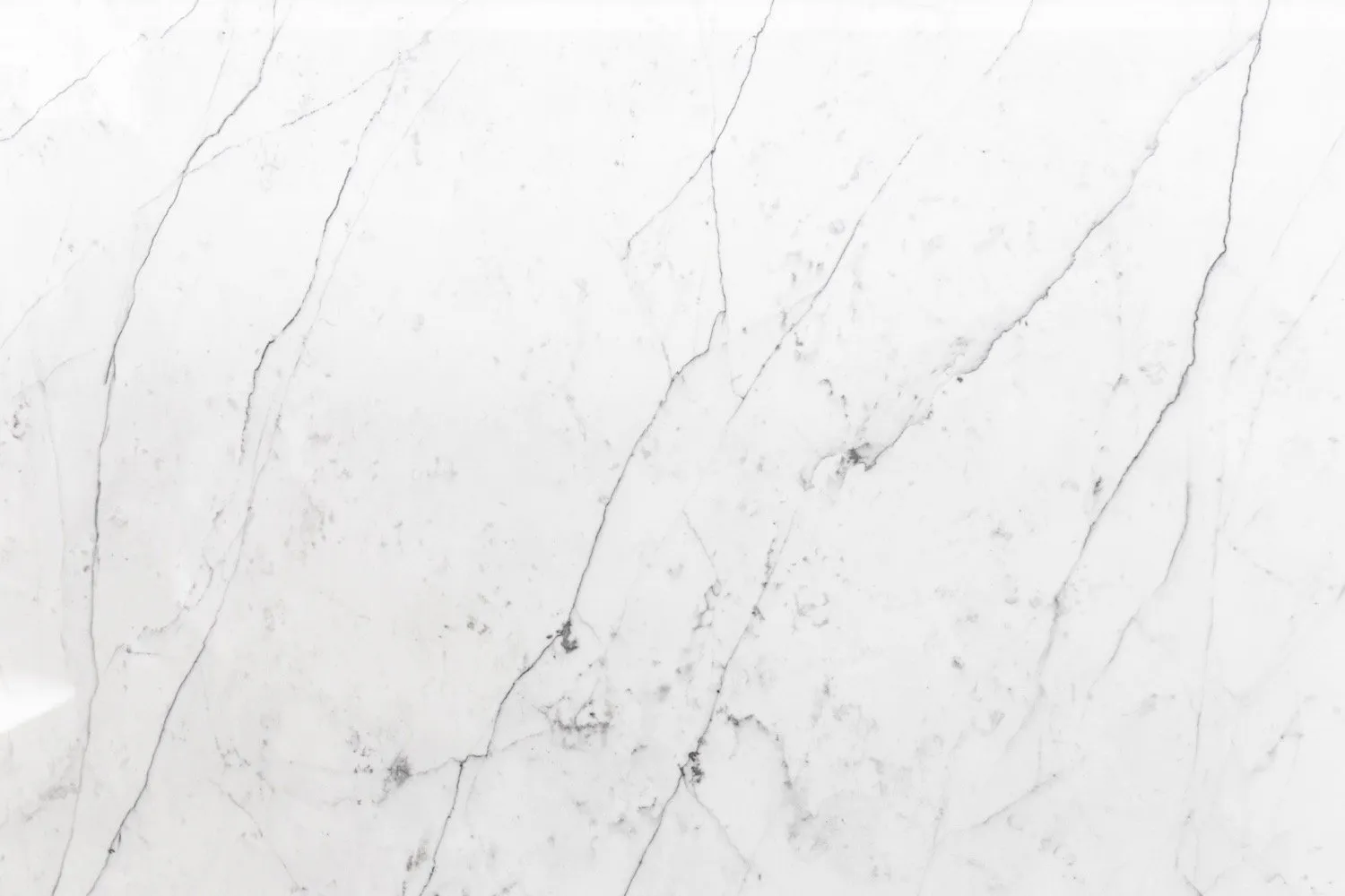 Colorado Yule Marble Marble